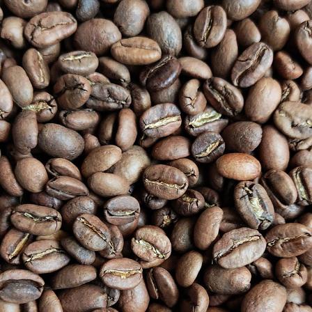 دانه قهوه عربیکا اتیوپی