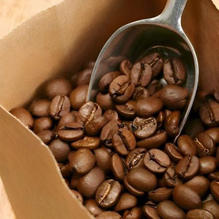 خرید دانه قهوه عربیکا اتیوپی