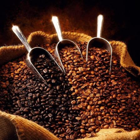 قیمت دانه قهوه کنیا + خرید و فروش