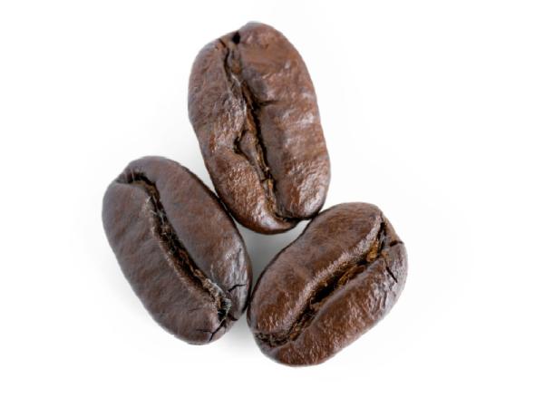قیمت دانه قهوه در ایران + خرید و فروش