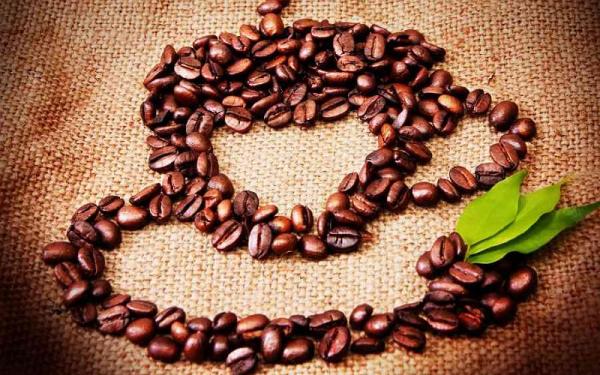 مشخصات دانه قهوه ترک