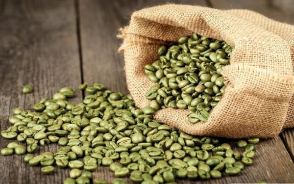 مشخصات دانه قهوه سبز
