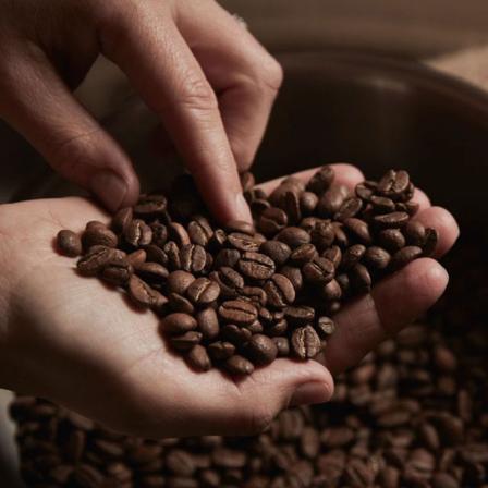 مشخصات دانه قهوه روشن